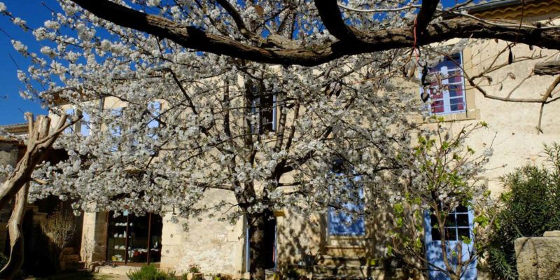 Maison d'hôtes à vendre dans l'Hérault en Occitanie (6km de Sommières)