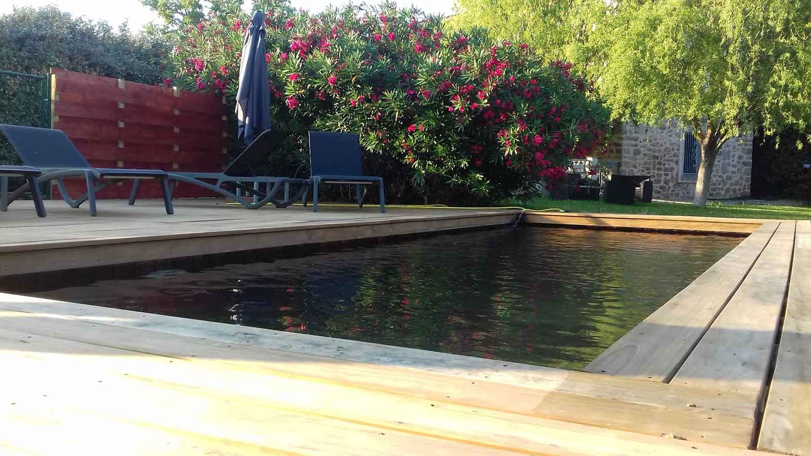 Piscine de la maison d'hôtes à vendre dans le Var (Le Muy)