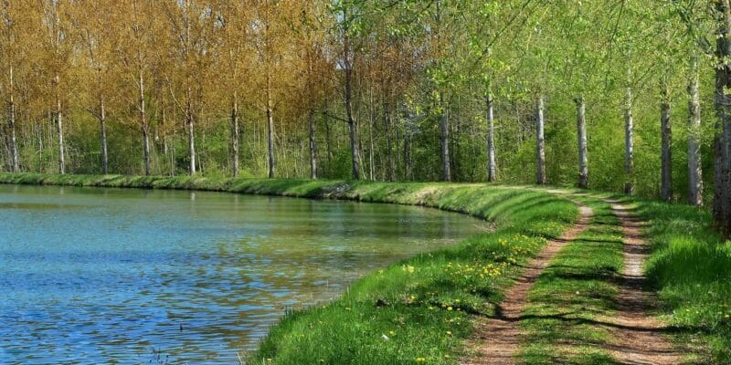 Rivière Meuse, France (ybernardi)