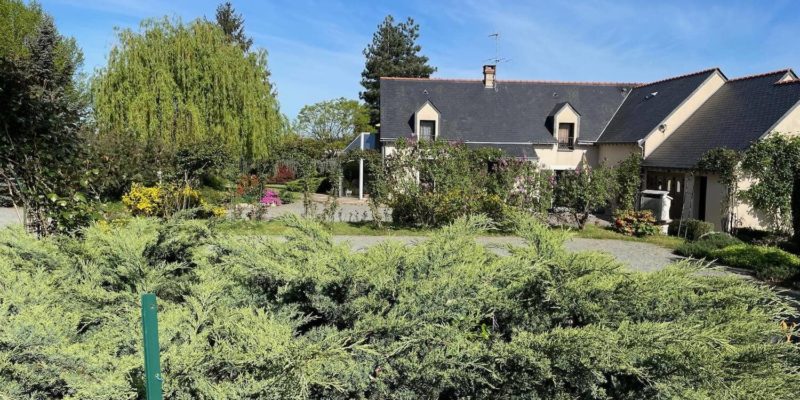 Maison d'hôtes à vendre avec gîte indépendant et piscine à Bellevigne-en-Layon, dans le Maine-et-Loire (région Pays de la Loire)