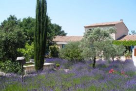 Maison d'hôtes de charme à vendre en Provence (Lacoste, Vaucluse) : jardin, et bassin provençal