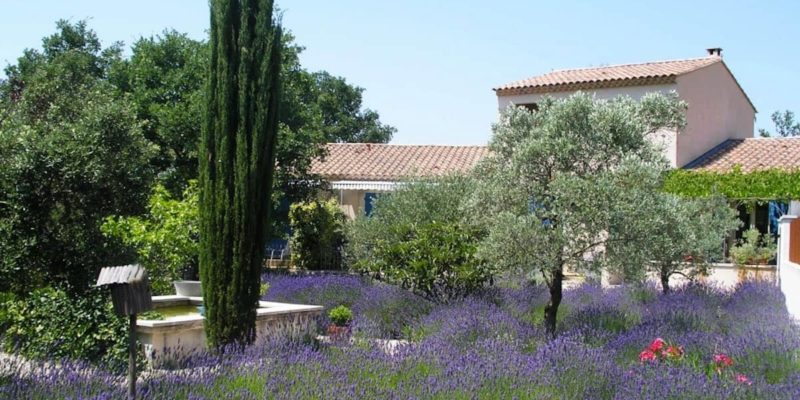 Maison d'hôtes de charme à vendre en Provence (Lacoste, Vaucluse) : jardin, et bassin provençal