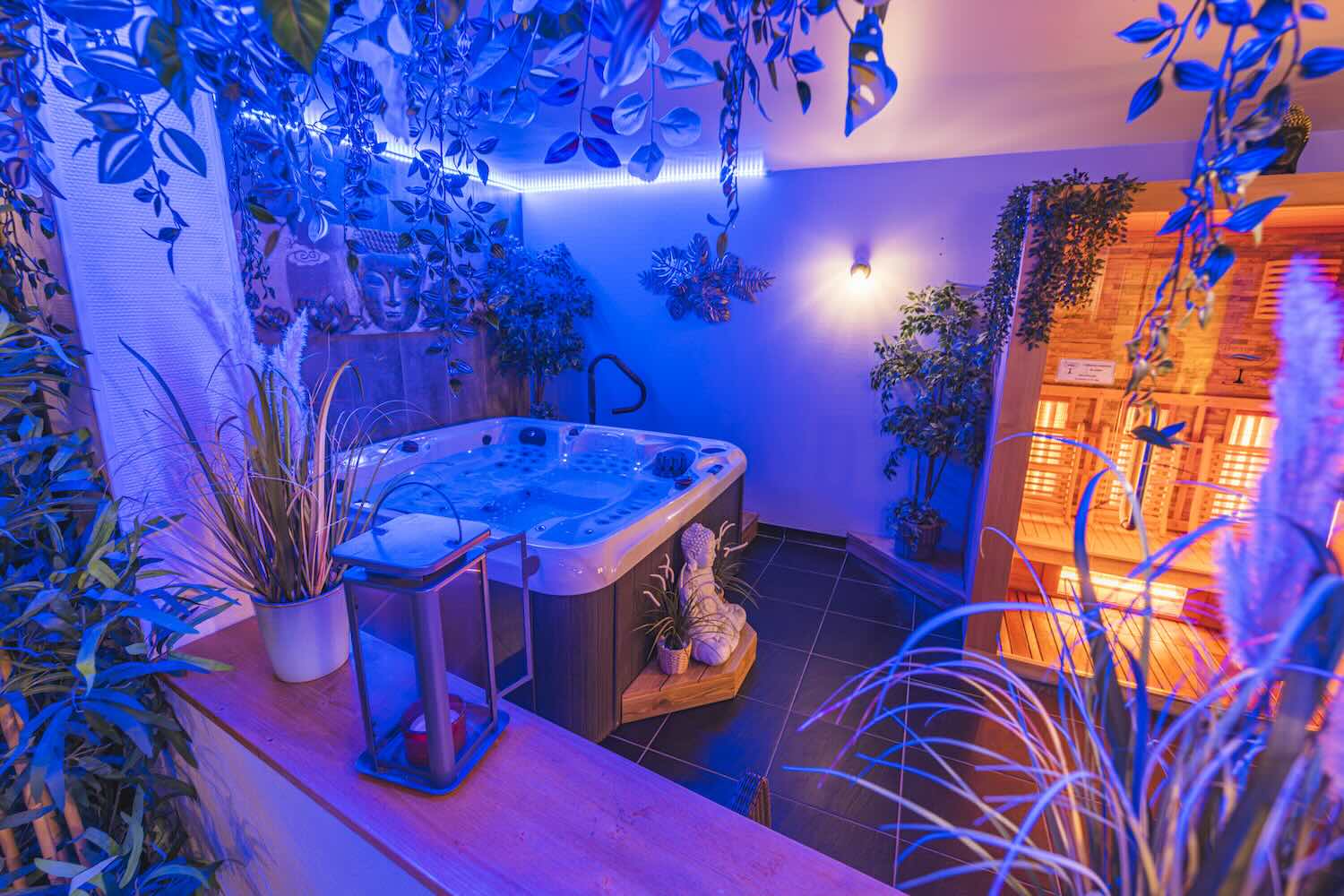 Espace Spa de la maison d'hôtes à vendre dans la Marne