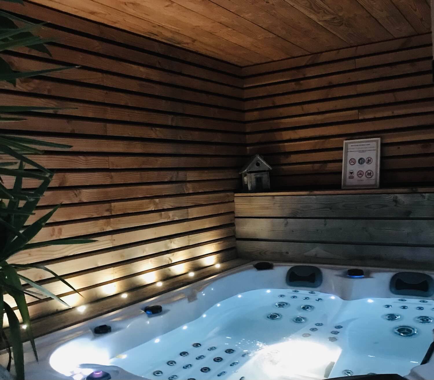 Jacuzzi, bain à remous